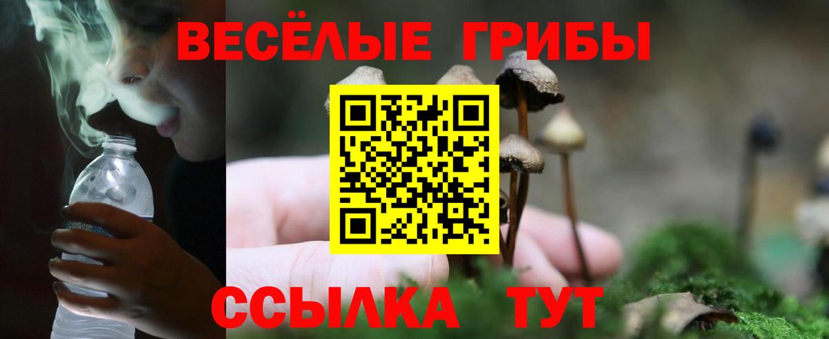 Псилоцибиновые грибы GOLDEN TEACHER Сочи